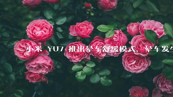 小米 YU7 推出晕车舒缓模式，晕车发生率降低 51%，如何看待此功能？抗晕能力未来会成为汽车标配吗？