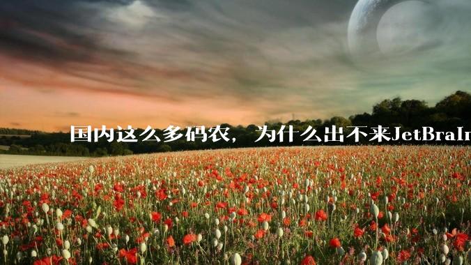 国内这么多码农，为什么出不来JetBrains, MathWorks这样的公司？